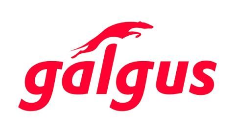 galgus