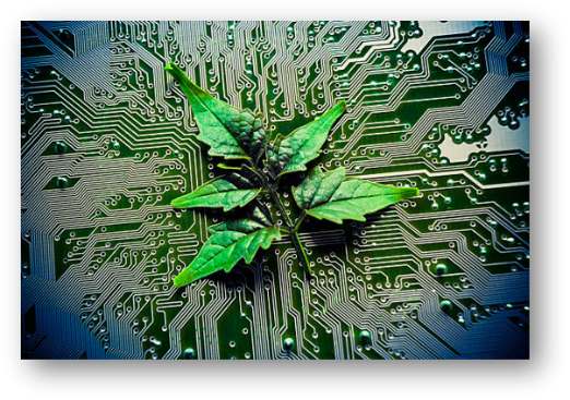 desarrollo-sostenible